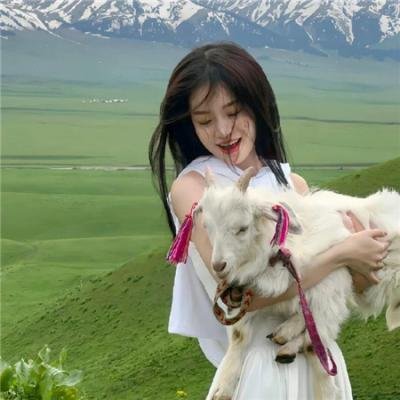 河曲马封面